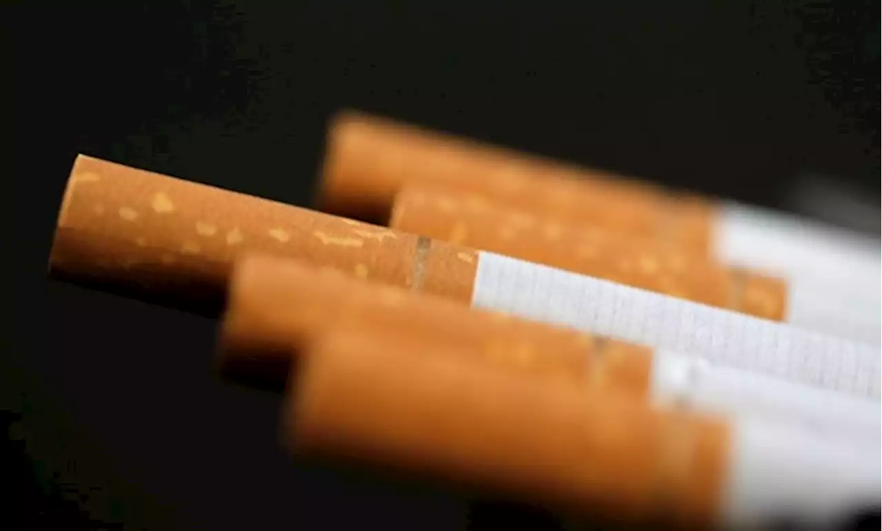 Health department set to tighten tobacco regulations - SABC News