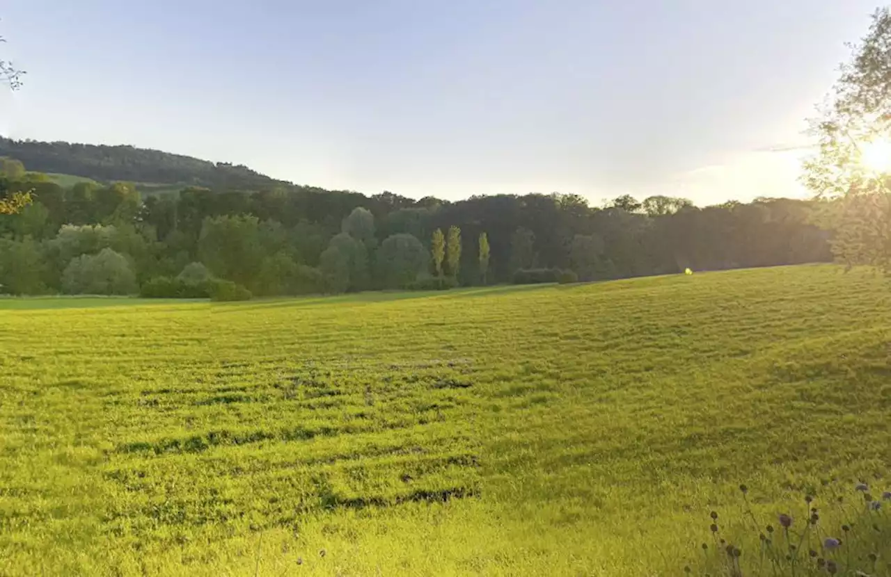 24-ha-Hof: Stadt Bern sucht Pächter - Schweizer Bauer