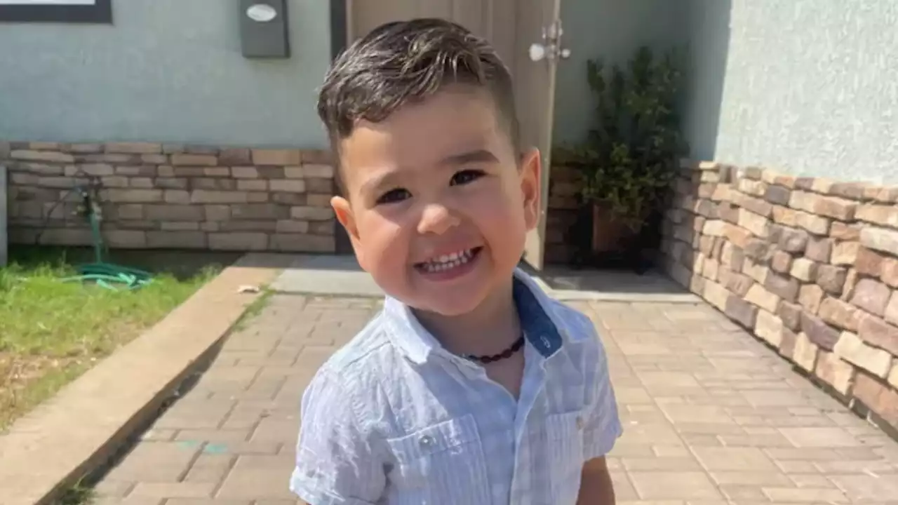 Boy, 3, killed by car as he headed to his own birthday party in California