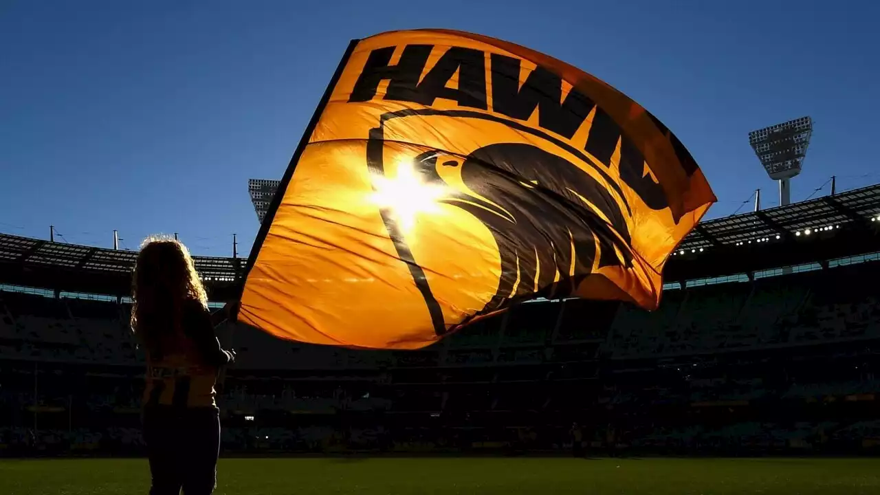 AFL Hawthorn racism investigation ends