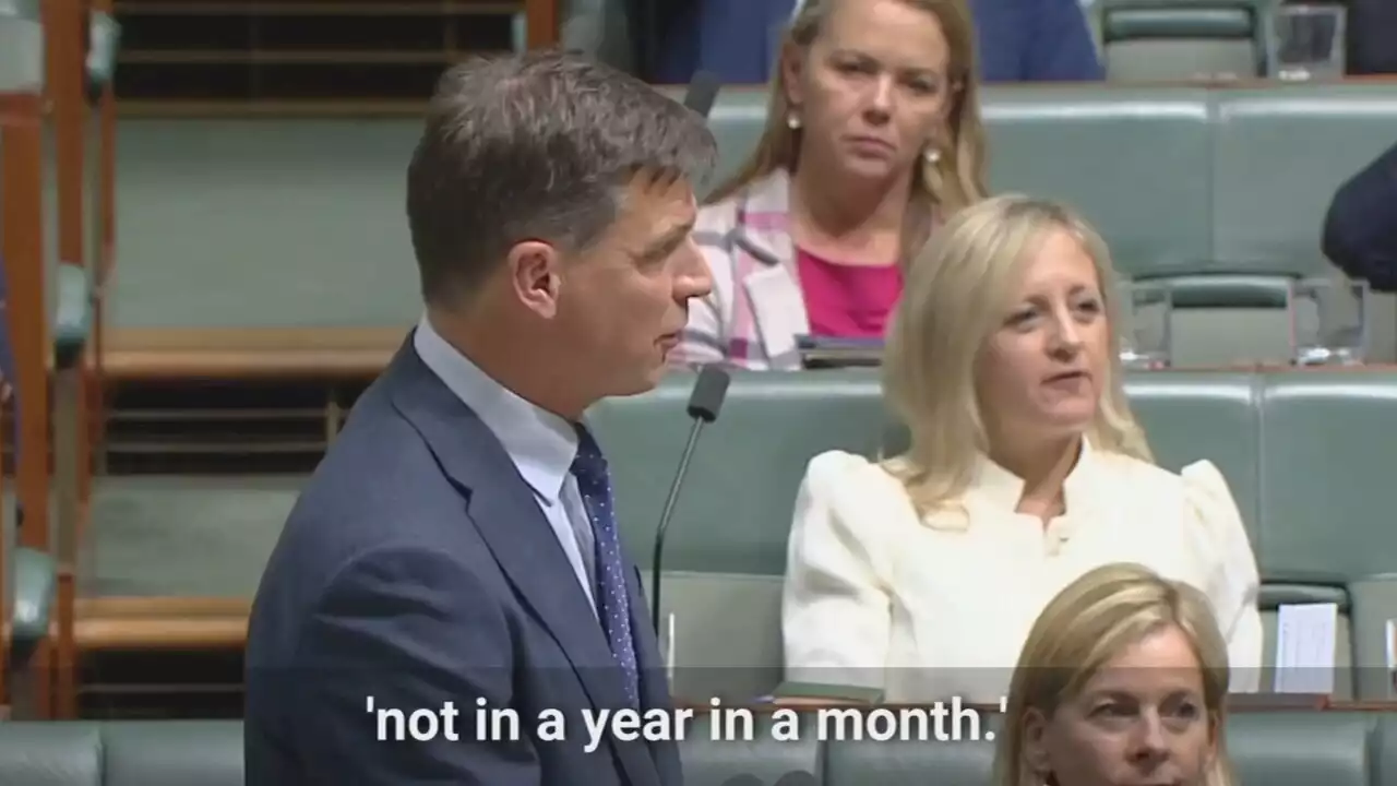 Angus Taylor&#8217;s &#8216;monumental gaffe&#8217; in Question Time &#8216;bemuses&#8217; colleagues