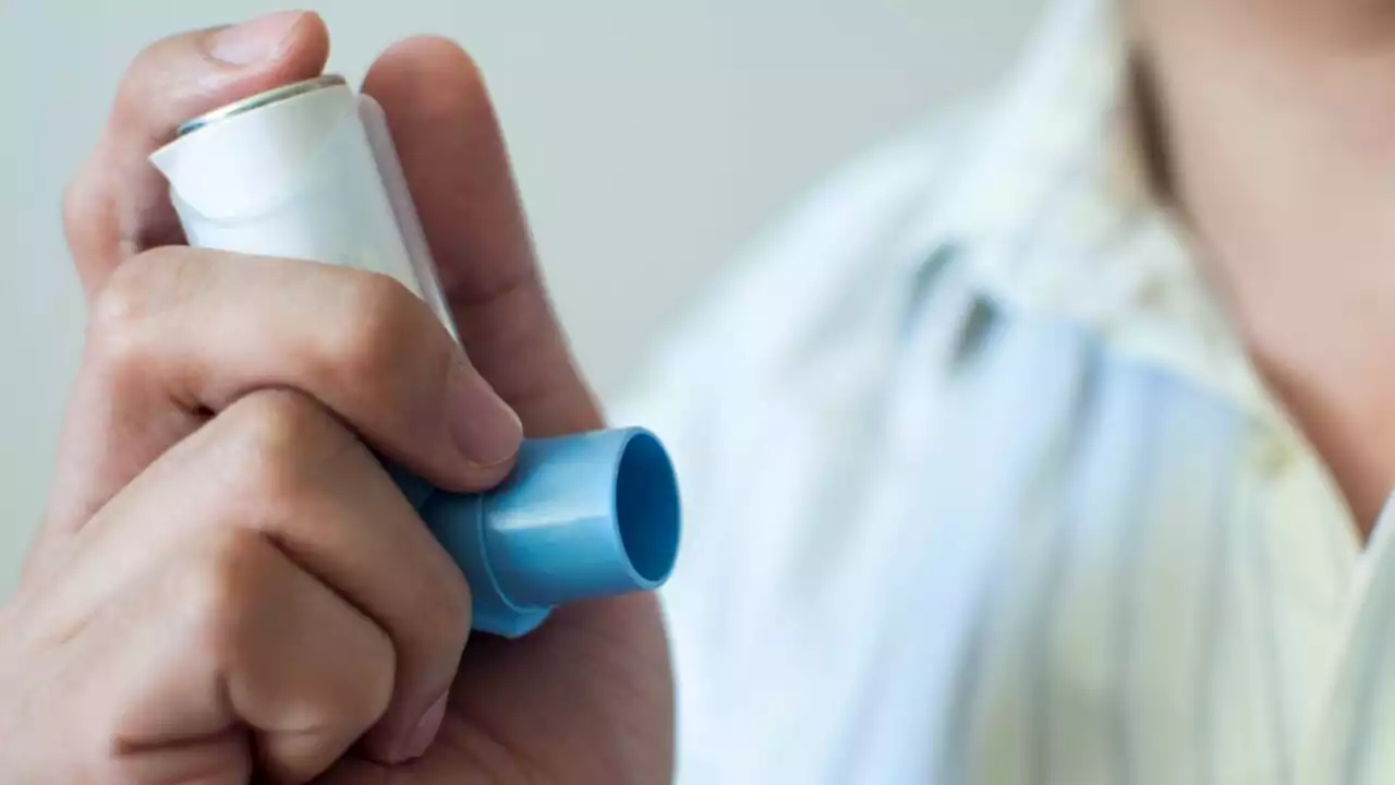 Queensland backburn plan left Asthma Australia in the dark