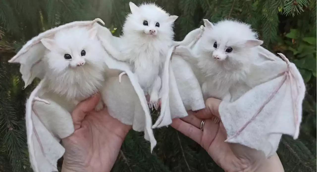 Does a Pic Show Real White Bats?