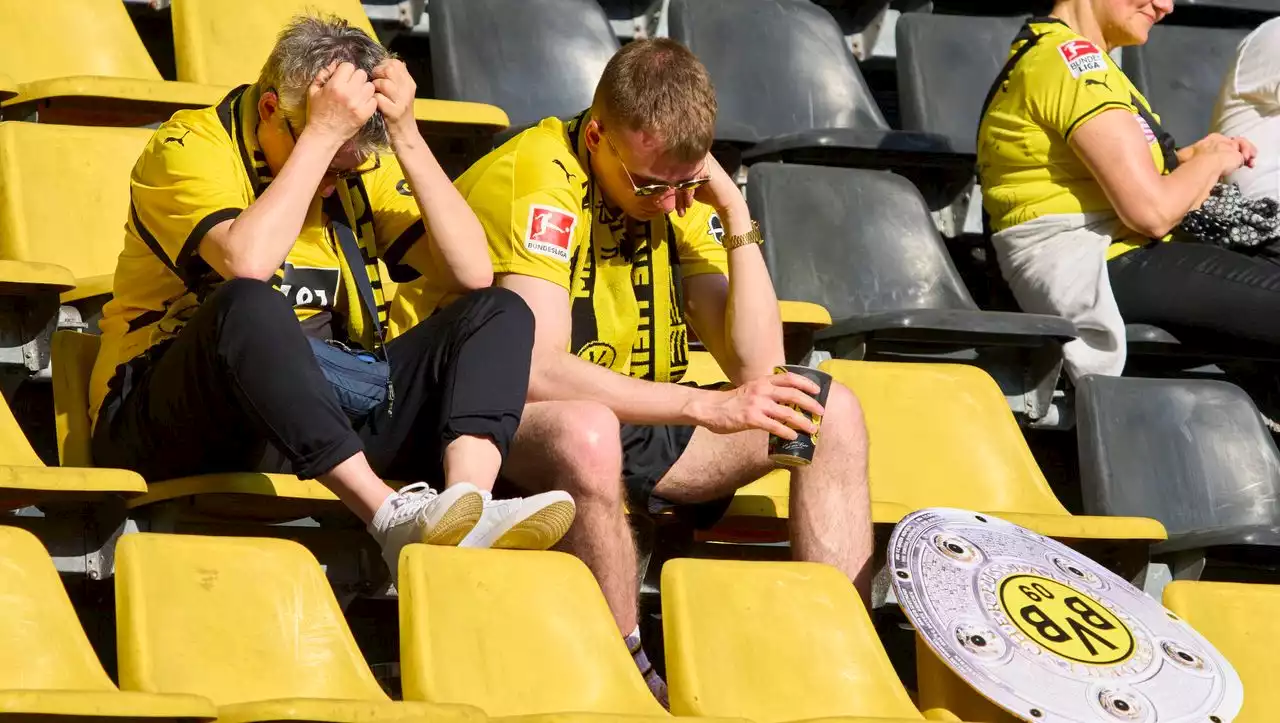 Lemgo: Frustrierter BVB-Fan verbrennt Schal – und löst Heckenbrand aus