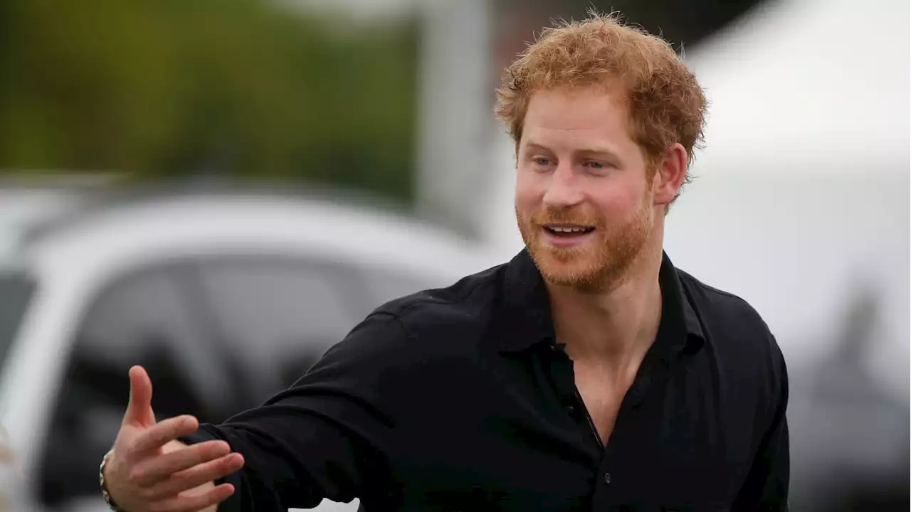 D.C. Court Agrees to Hear Challenge Over Prince Harry’s Visa