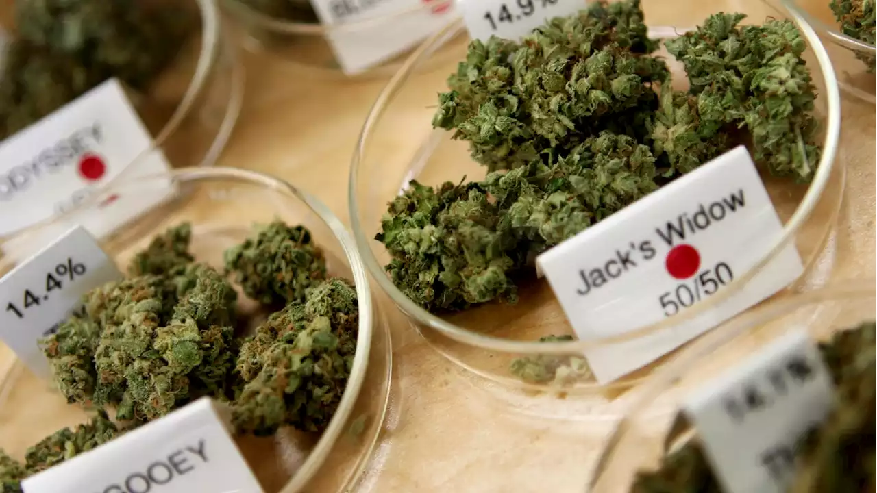 Minnesota Officially Legalizes Recreational Marijuana Use