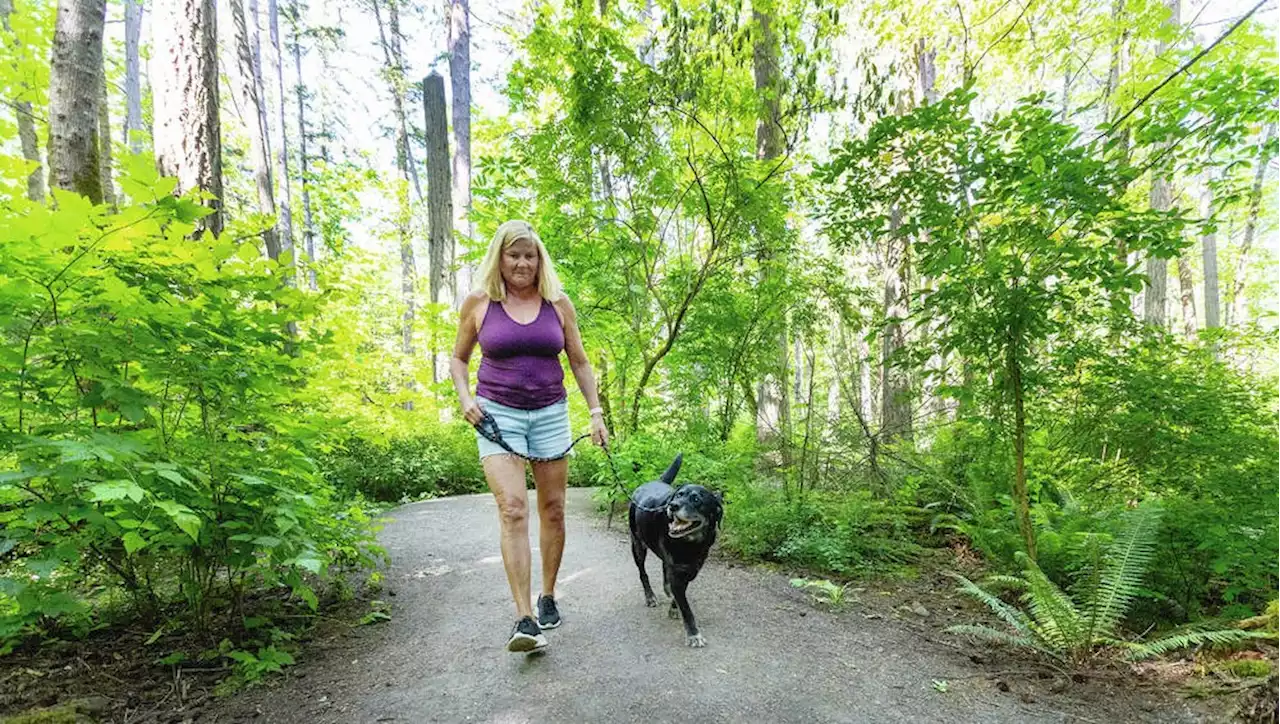 Saanich considers requiring pets to be leashed in parks, dog owners voice alarm