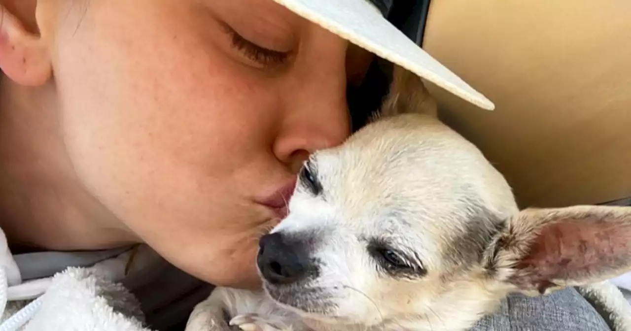 Kaley Cuoco’s dog Dump Truck dies: ‘Saying goodbye to you has deeply pierced my soul’