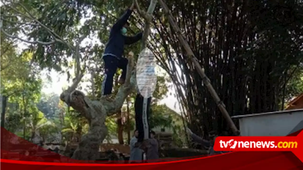 Sosok Mayat Ditemukan Tergantung di Pohon Kamboja Makam Desa Karangduren Klaten