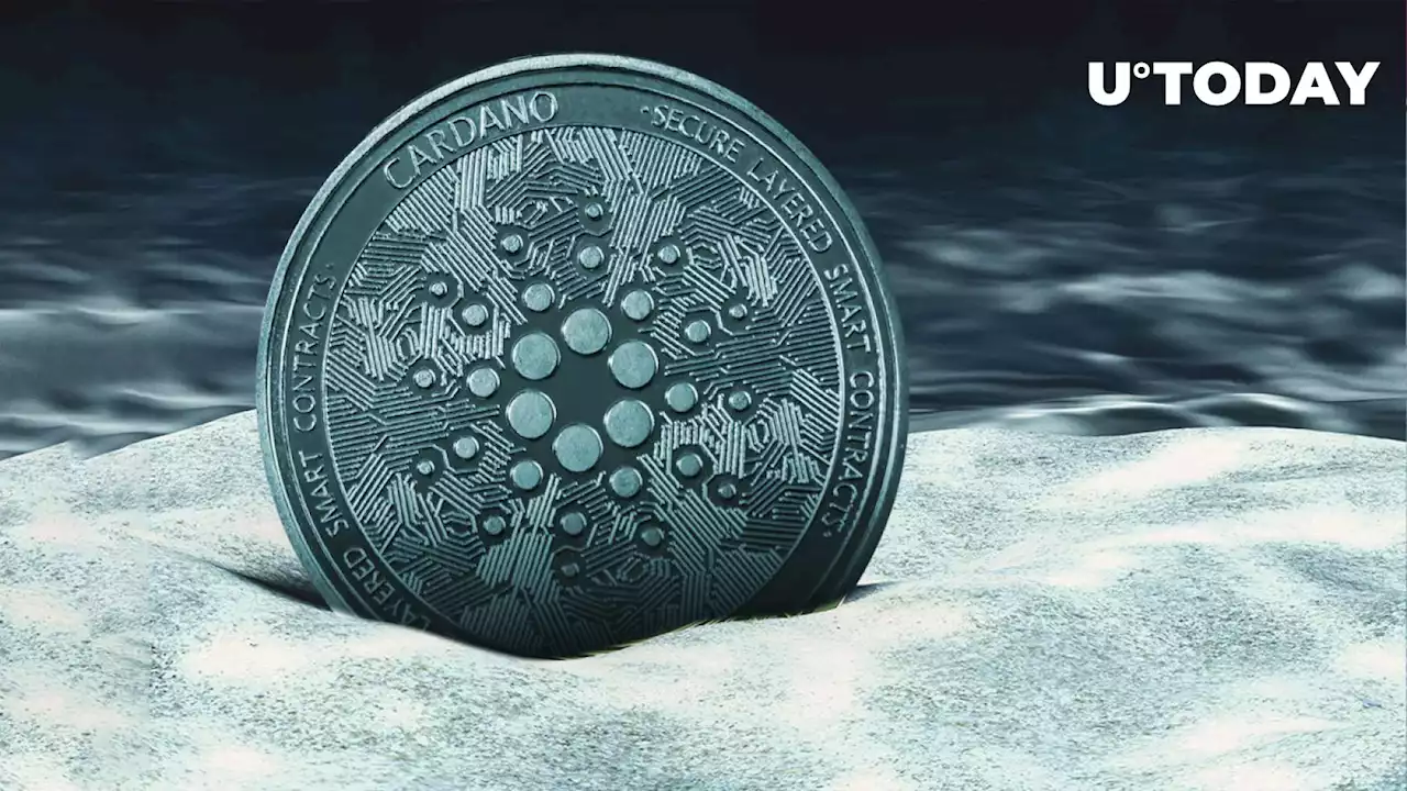 Cardano Investors Lose Big as Billions of ADA Turn Red