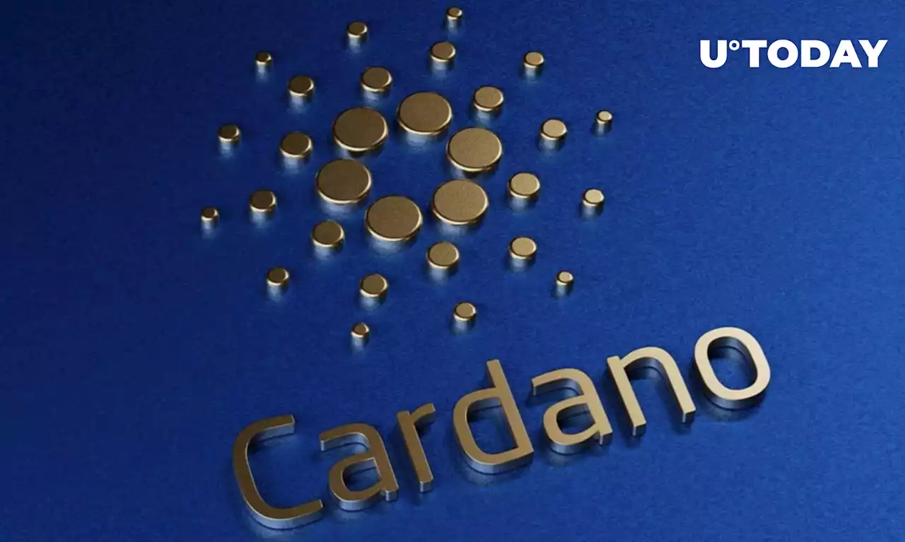Cardano Outperforms Ethereum in Recent Crypto Development Activity