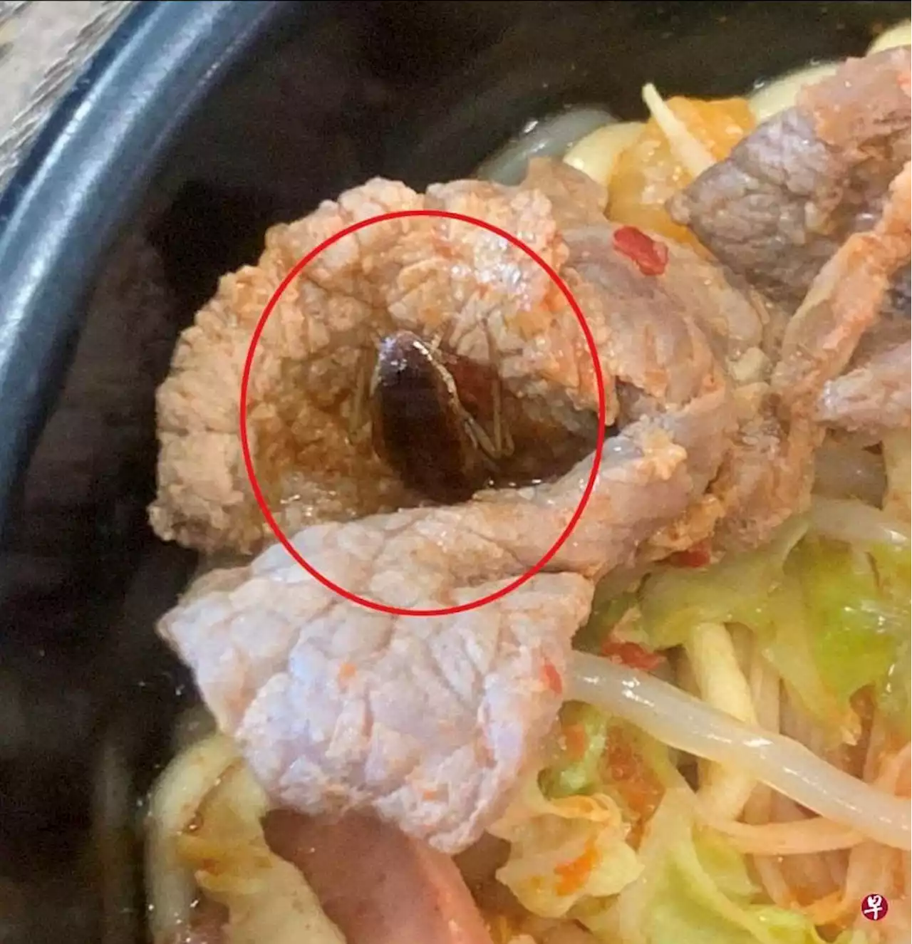 Cockroach found within Korean steamboat midway through meal at Clementi Mall, restaurant responds