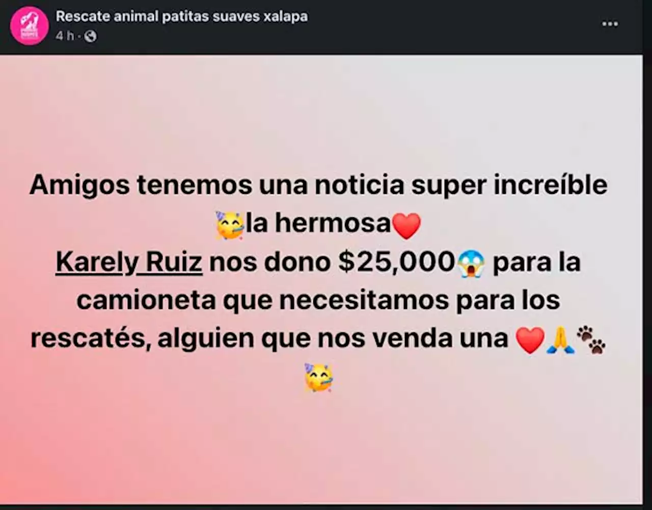 Karely Ruiz “se raya” y dona 25 mil pesos para el albergue animal de Xalapa