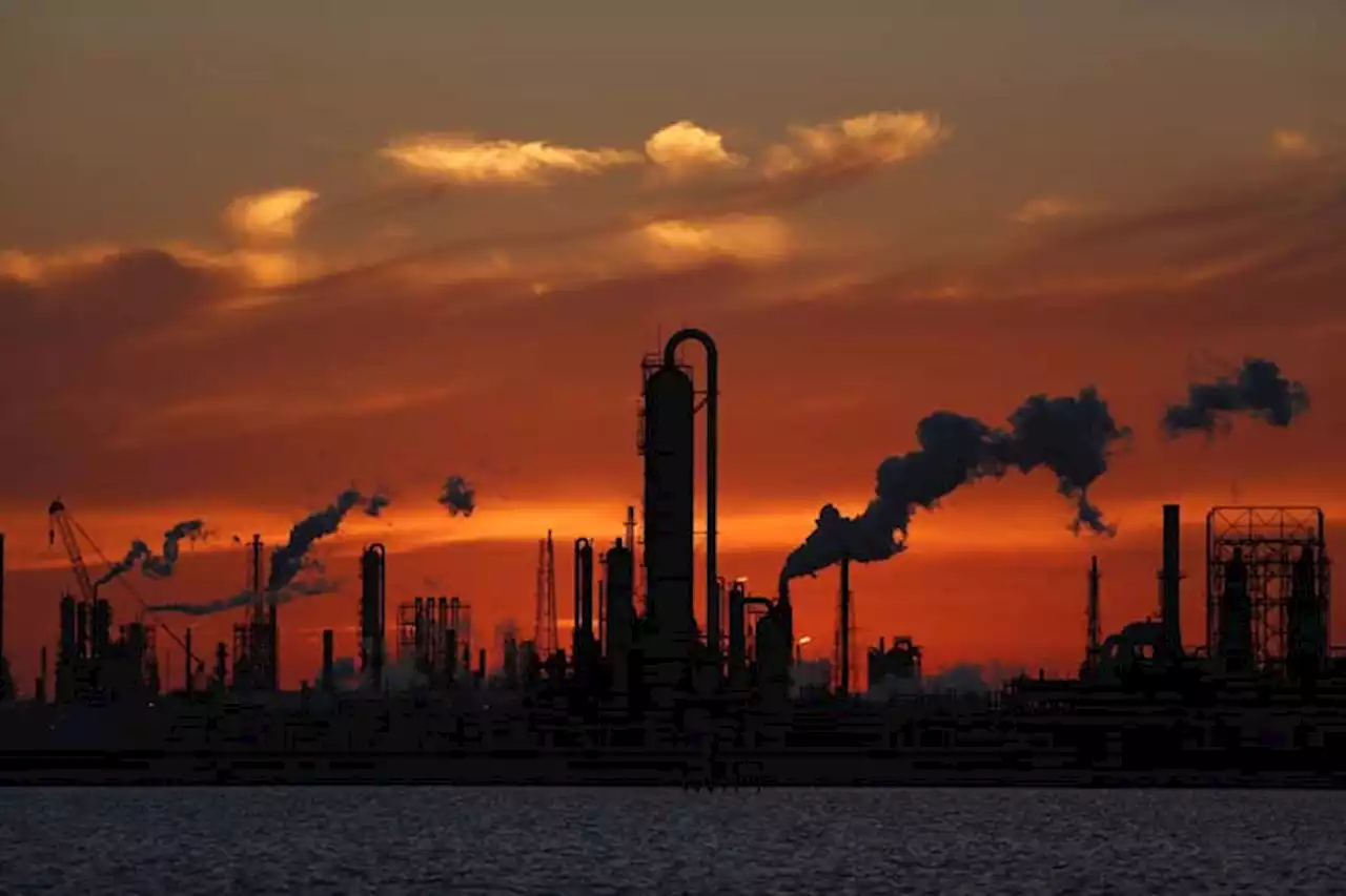 How to move to net zero? Expert has list | Cai U. Ordinario