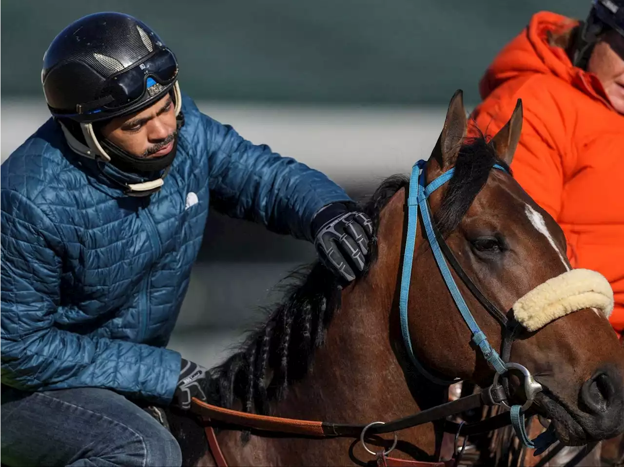 Churchill Downs investigates four horse deaths ahead of Kentucky Derby