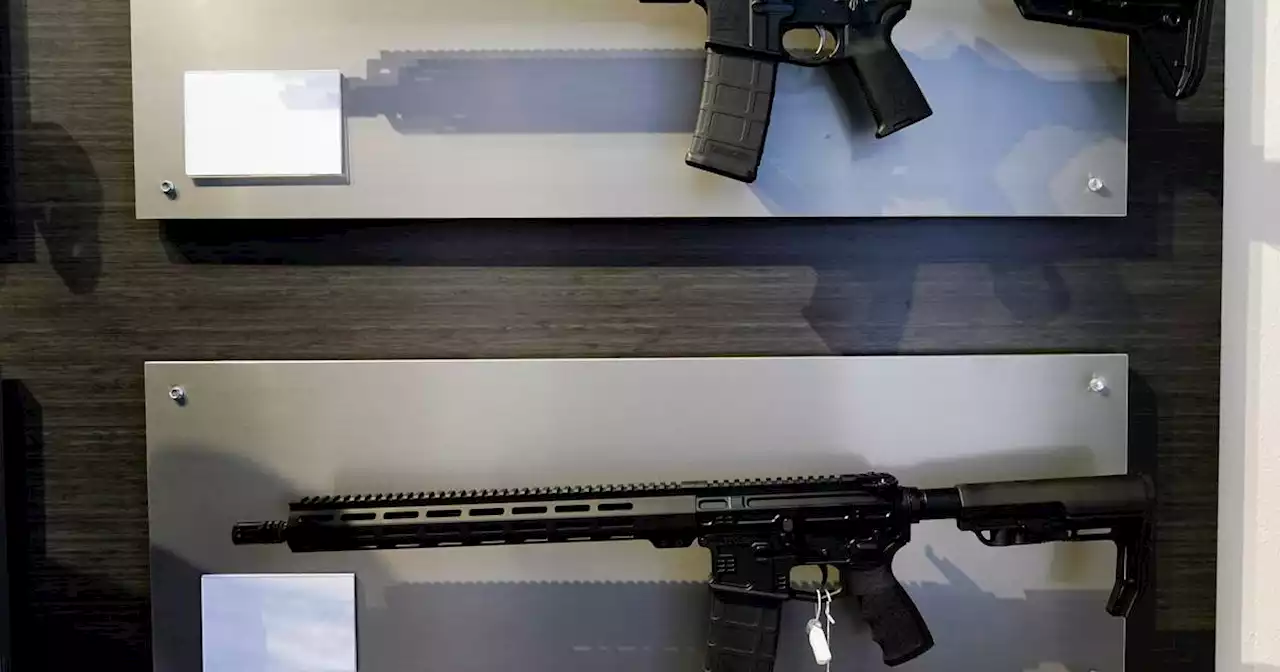 Residents, gun group urge new Naperville council members to revoke assault rifles sale ban rule