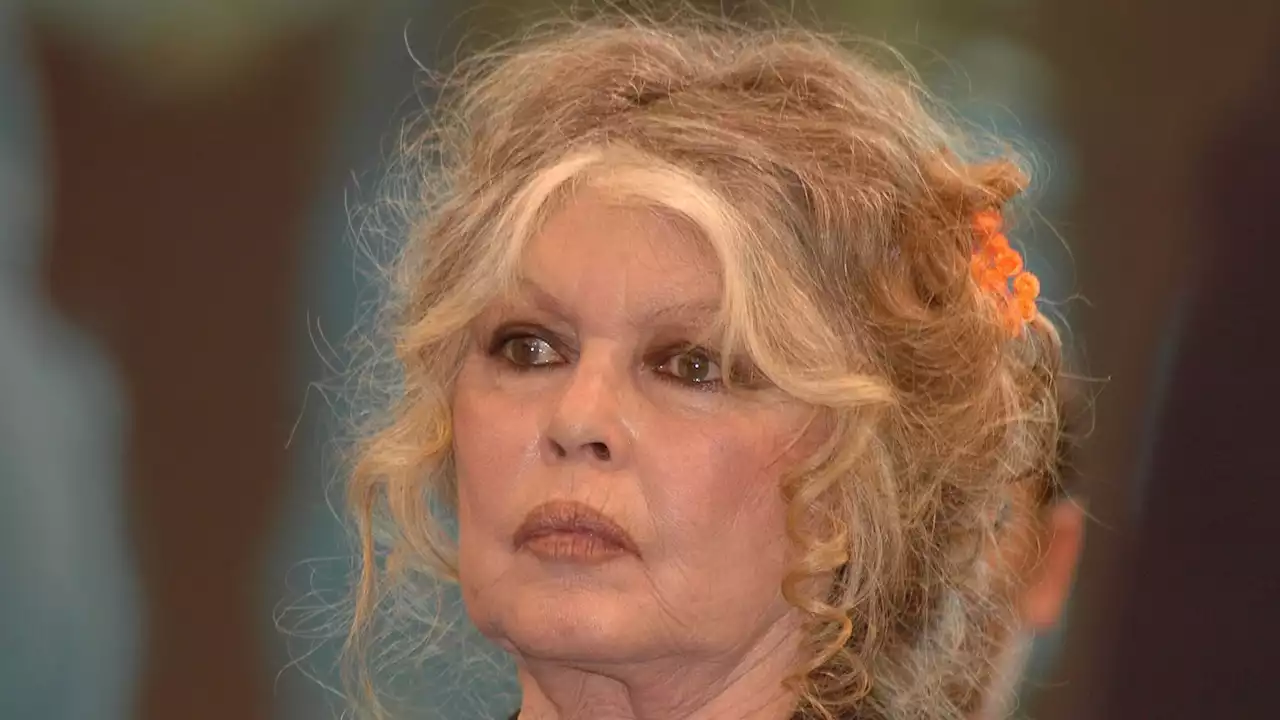 Brigitte Bardot : 'ça c'était mal passé', les révélations chocs de Matthieu Delormeau sur sa santé fragile