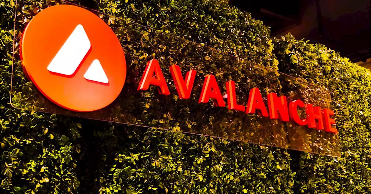 Alibaba Cloud Builds Metaverse Launchpad on Avalanche