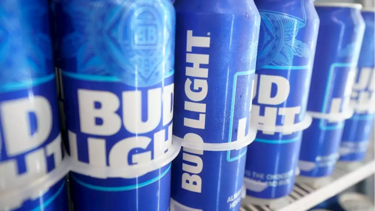 Bud maker's profit jumps as customers absorb higher prices