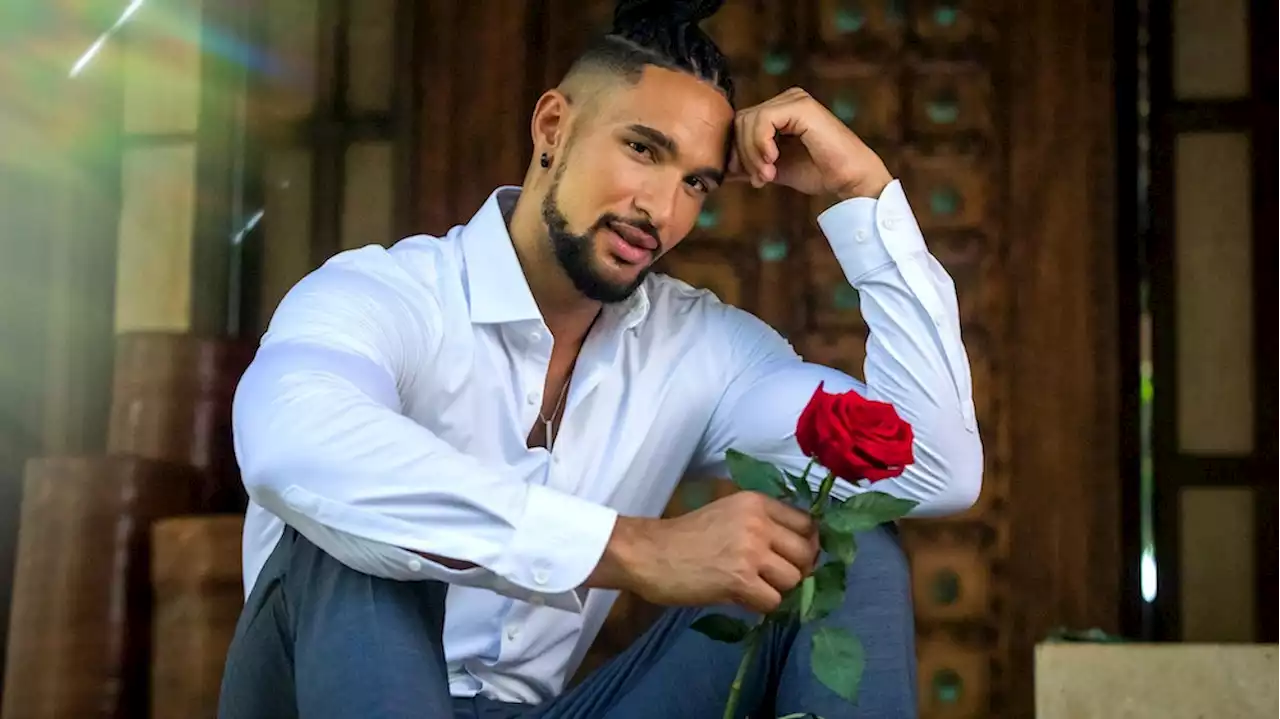 Finale bei „Der Bachelor“: Kandidatin lässt David Jackson stehen – Siegerin steht fest