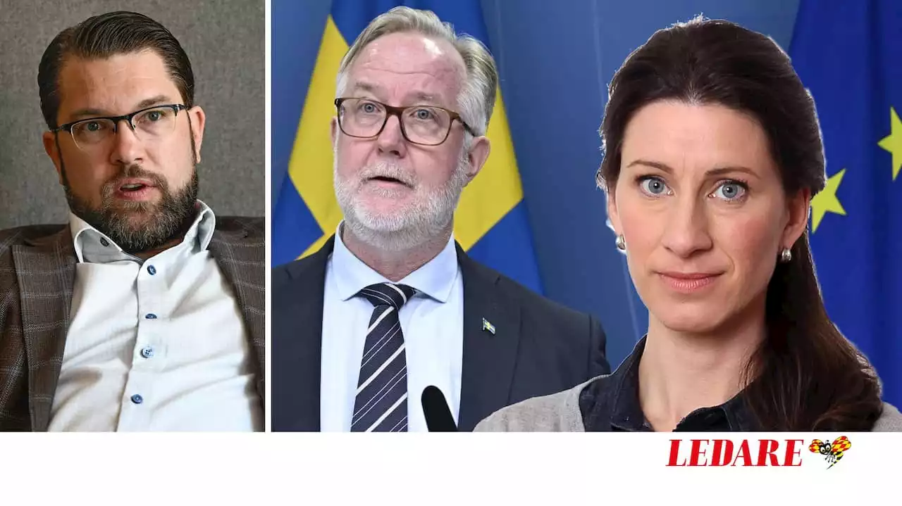 SUSANNA BIRGERSSON: Både Åkesson & Pehrson pratar strunt om EU