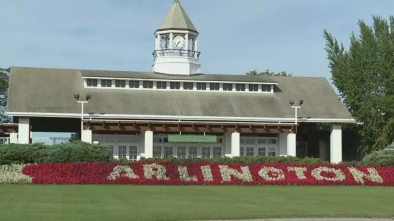 Bears seek permit to begin demolition of Arlington International Racecourse