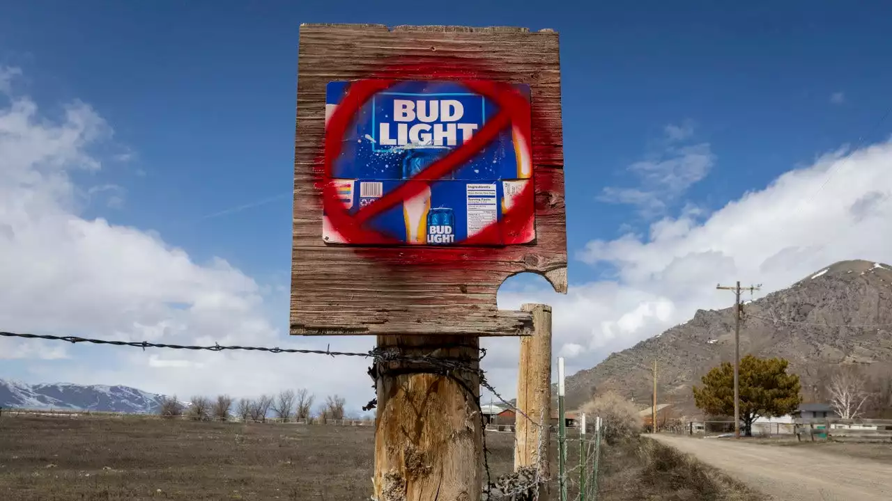 CEO distances Anheuser-Busch from Bud Light Dylan Mulvaney controversy: 'Not a formal campaign'