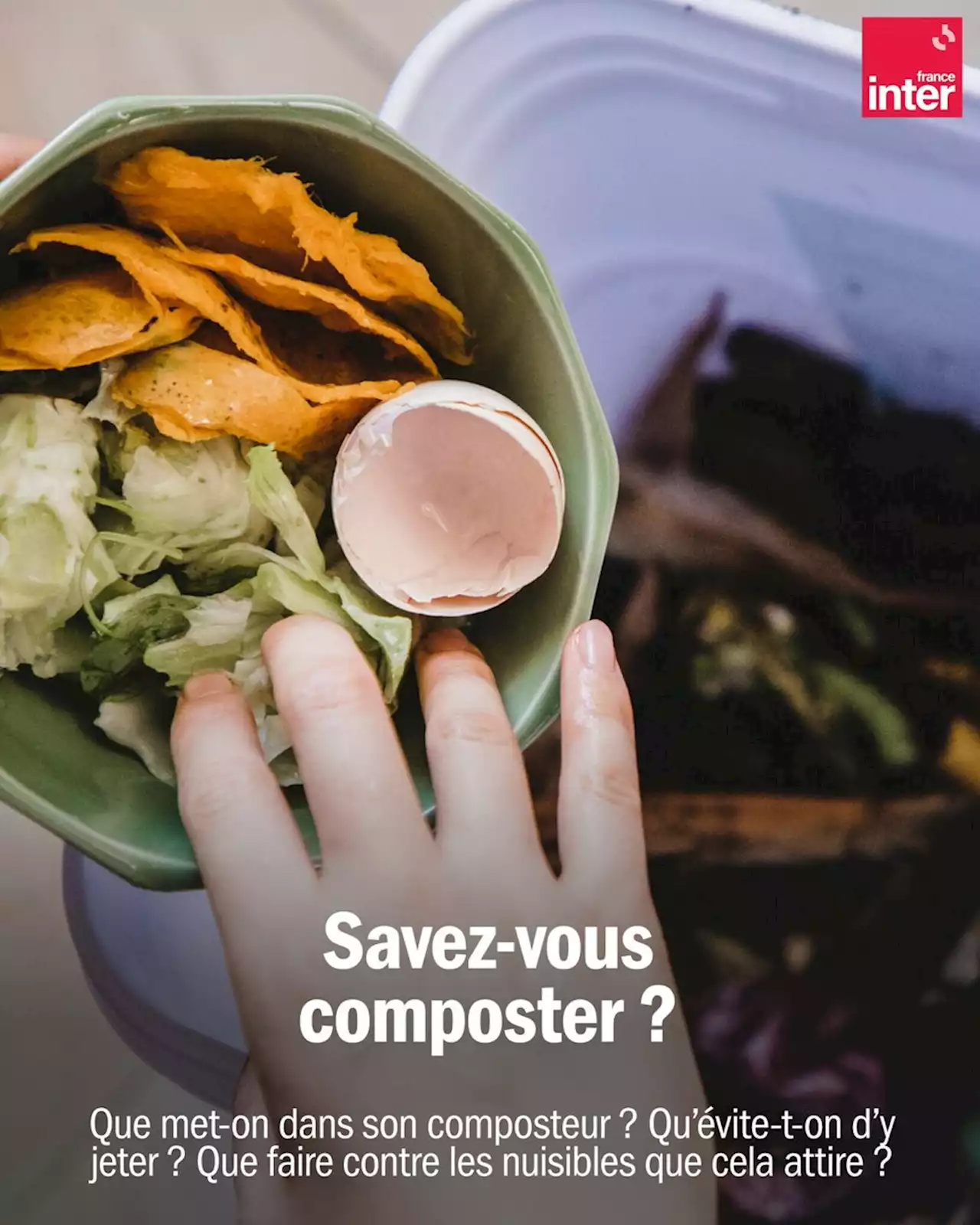 Compost : comment réussir à recycler vos déchets alimentaires ?