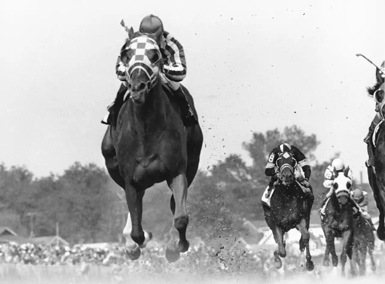 Triple Crown winner Secretariat still a dominant name 50 years on