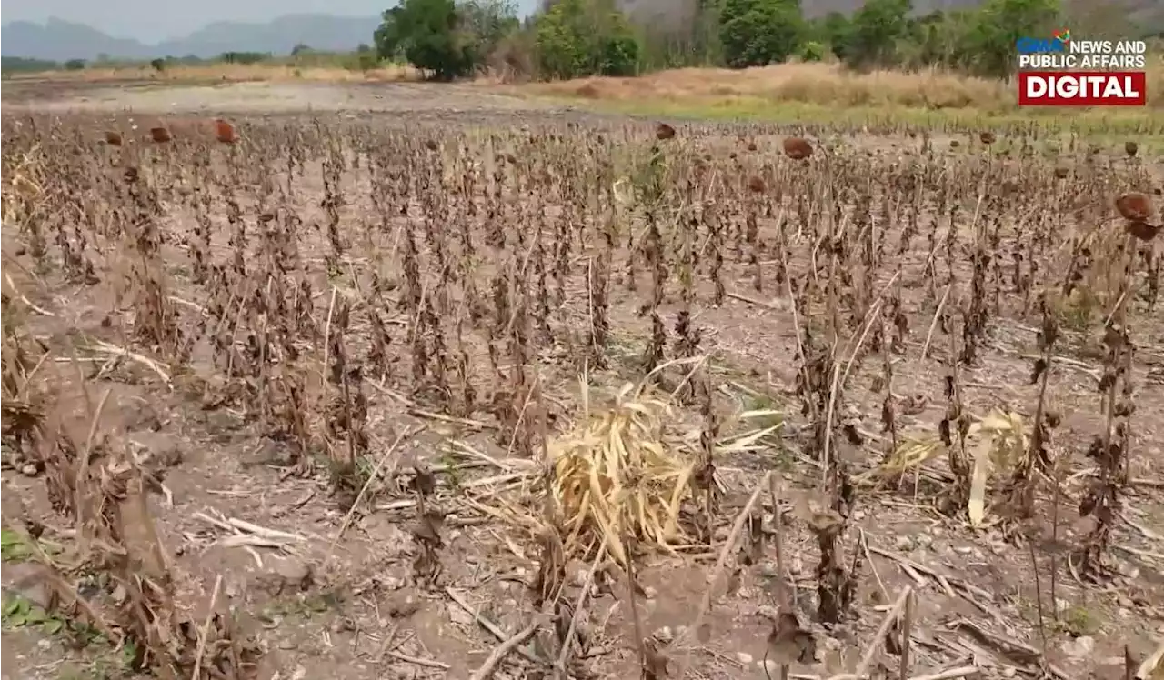 What is Super El Niño?