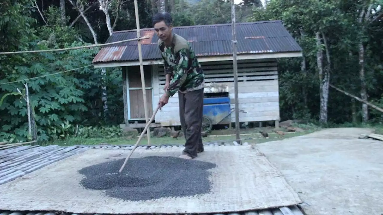 Kisah Karet dan Lada yang Masih Dilanda Nestapa