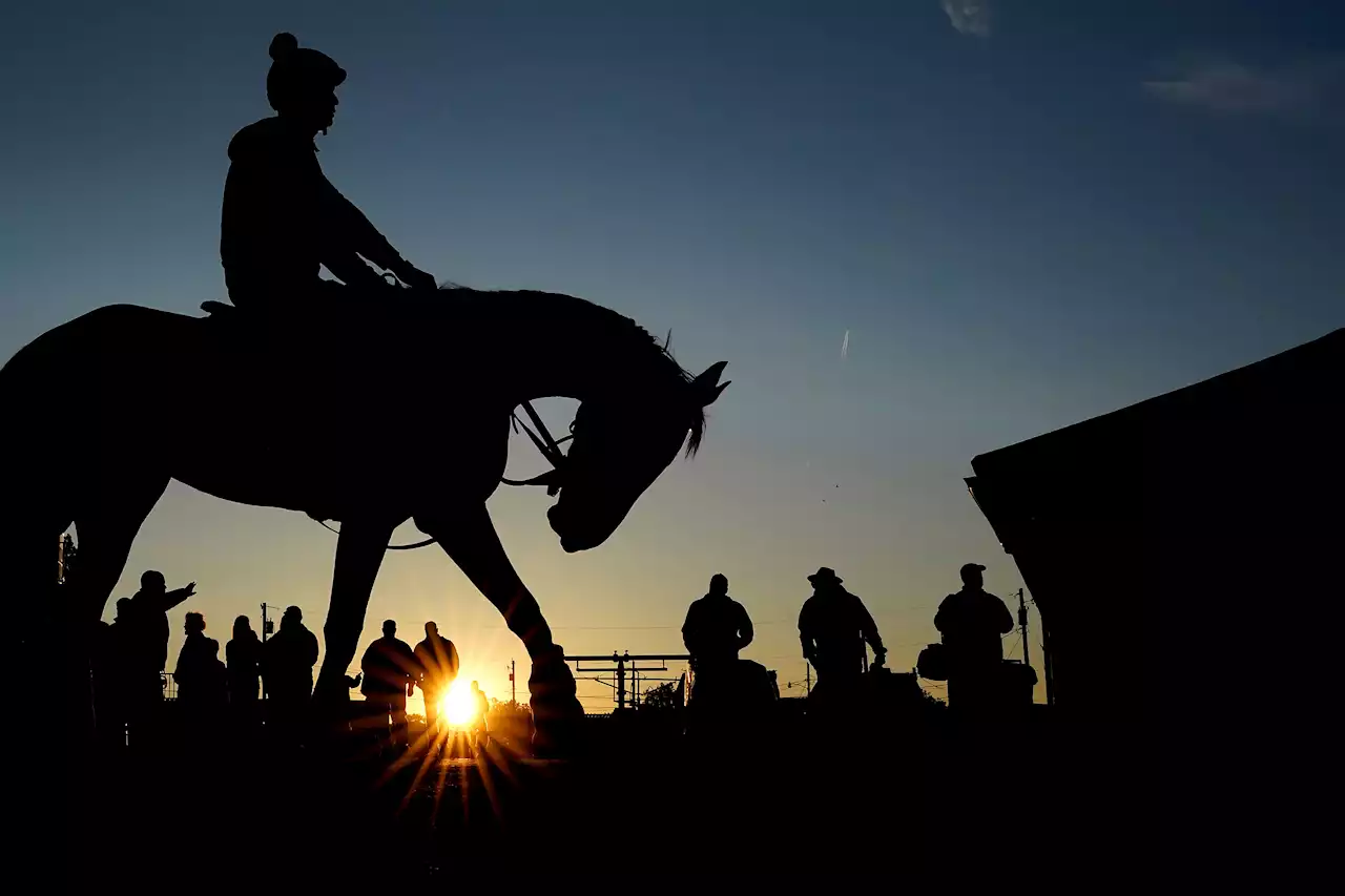 Churchill Downs Investigating 4 Horse Deaths Ahead Of Kentucky Derby