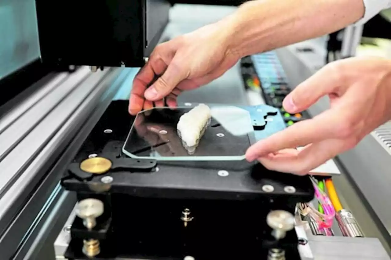 3D printers spawn new kind of fish to fry