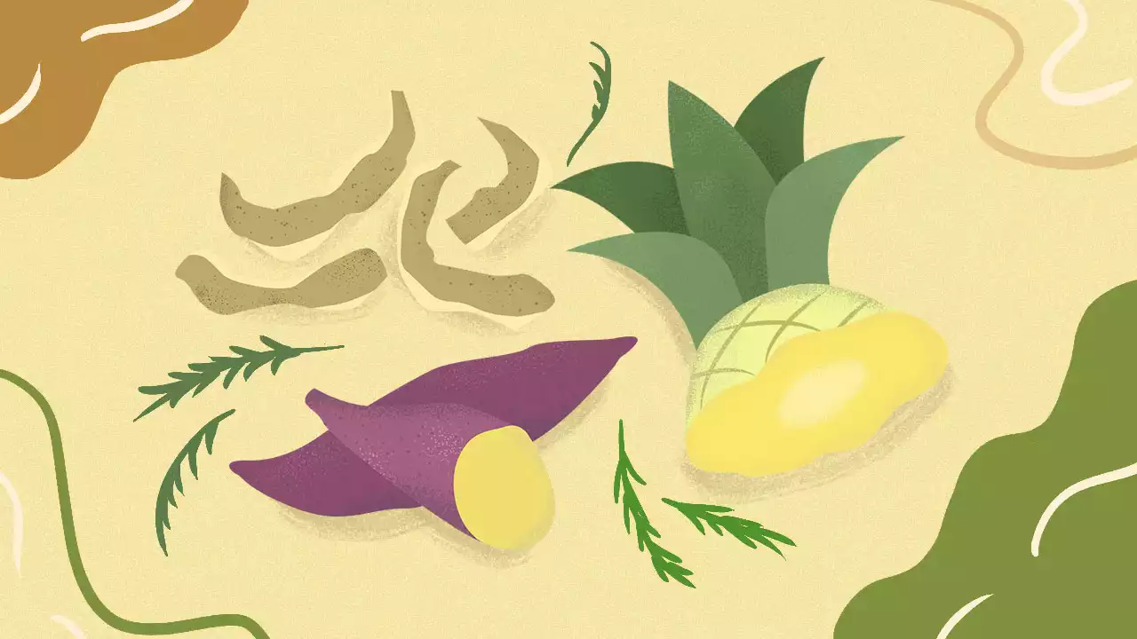 Grow your own food—if not from seeds then from scraps
