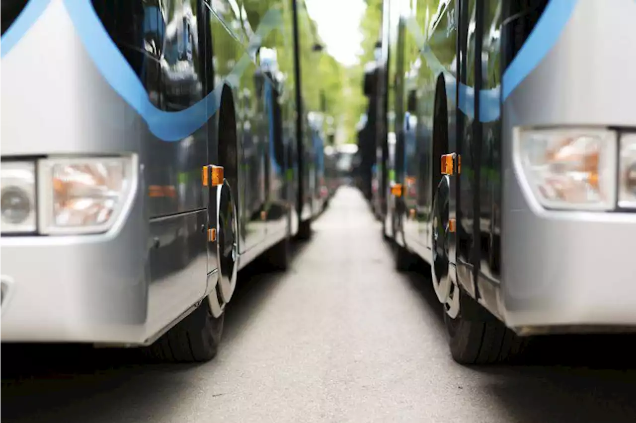 'Tener un carné de autobús hoy es como el que tiene una carrera'