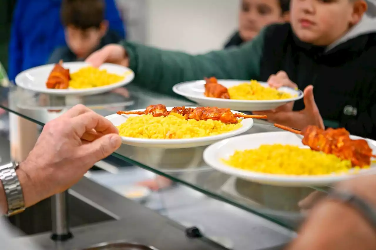 Allergies alimentaires : à l’école, le casse-tête pour les cantines