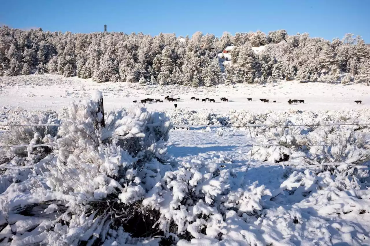 Small tornado damages buildings in Carson; snow falls on mountain communities