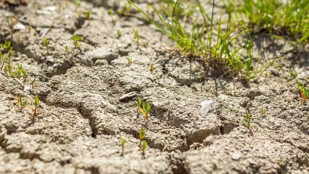 Réchauffement climatique : la France doit se préparer à +4 °C, bien au-dessus de la moyenne mondiale qui serait de +3 °C