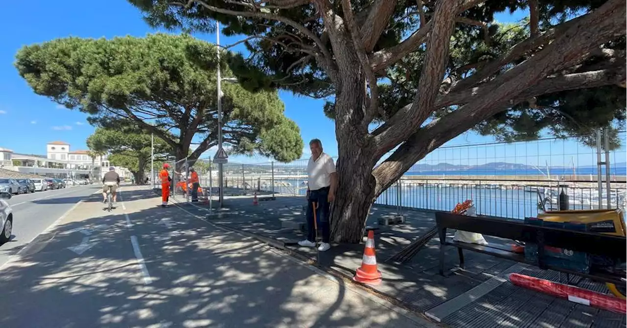 La Ciotat : le port des Capucins rénové pour éviter les accidents