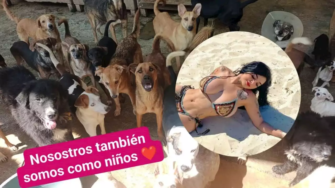 Karely Ruiz dona 25,000 mil pesos a refugio de animales en Xalapa