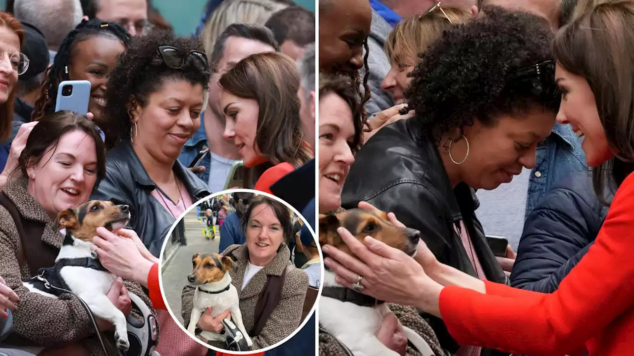 Dog and Duchess: Smitten Kate wowed by Royal fan's adorable dog on Soho pub visit