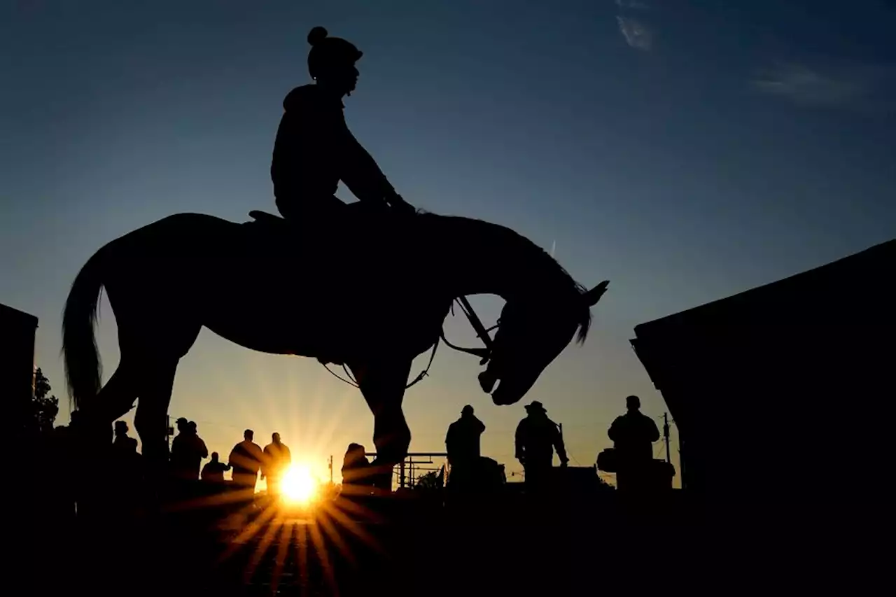 Kentucky Derby odds and betting favorites, prize money and how to watch the race