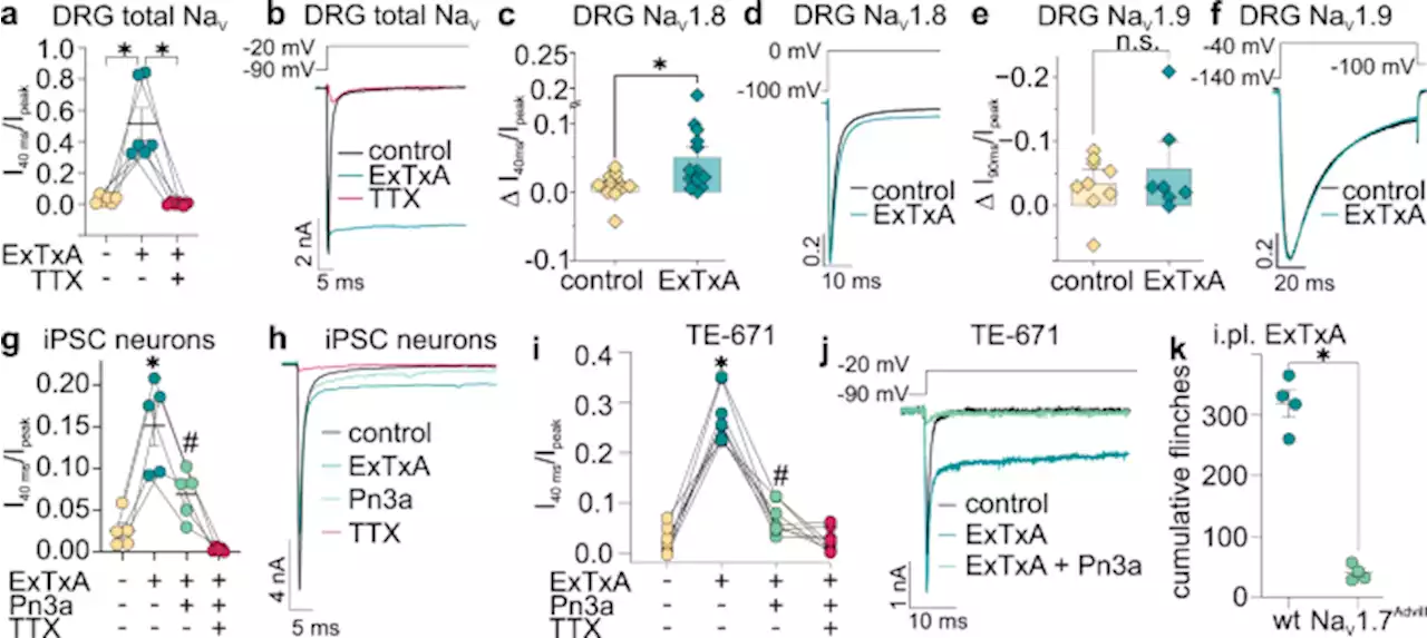 Pain-causing stinging nettle toxins target TMEM233 to modulate NaV1.7 function - Nature Communications