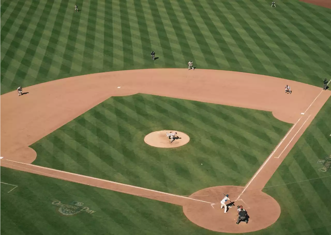 Doctor Saves Choking Girl at a Baseball Game