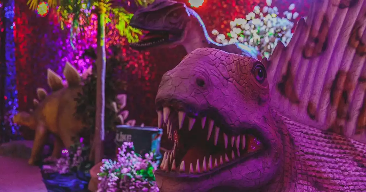 New dinosaur trail opens this Coronation weekend and tickets cost a fiver