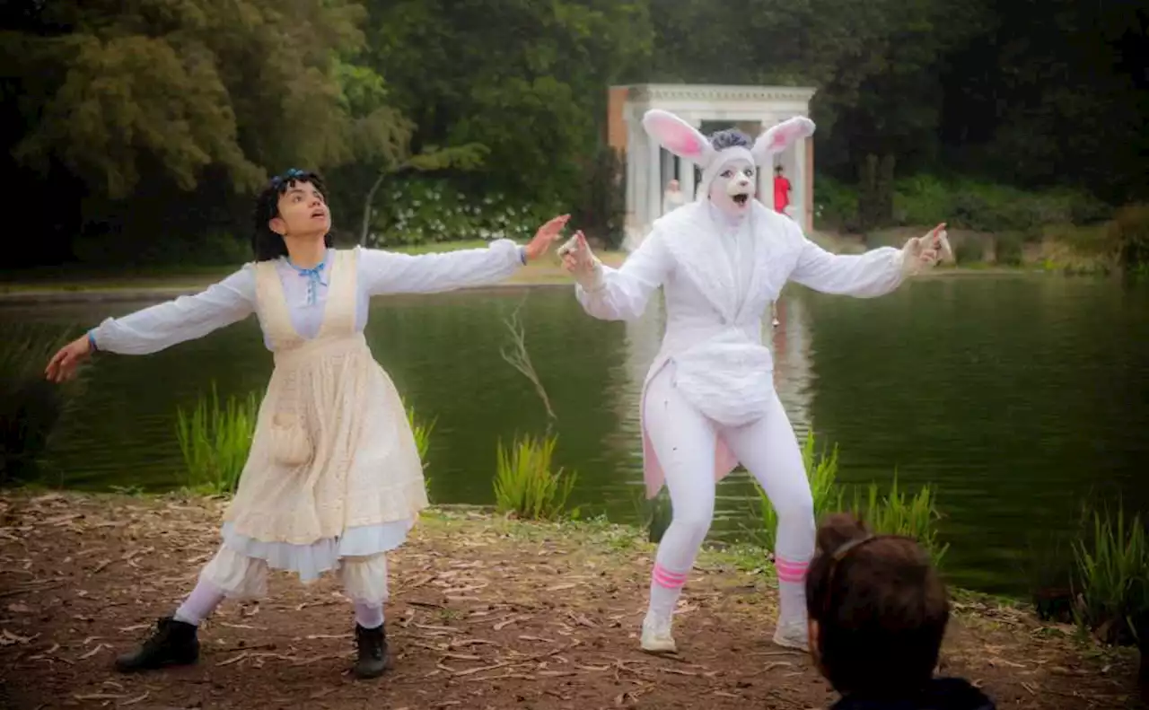 Golden Gate Park becomes a wild Wonderland in immersive ‘Alice’