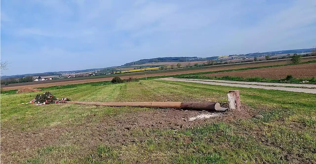 Maibaum umgeschnitten: Feuerwehr stellt Ultimatum