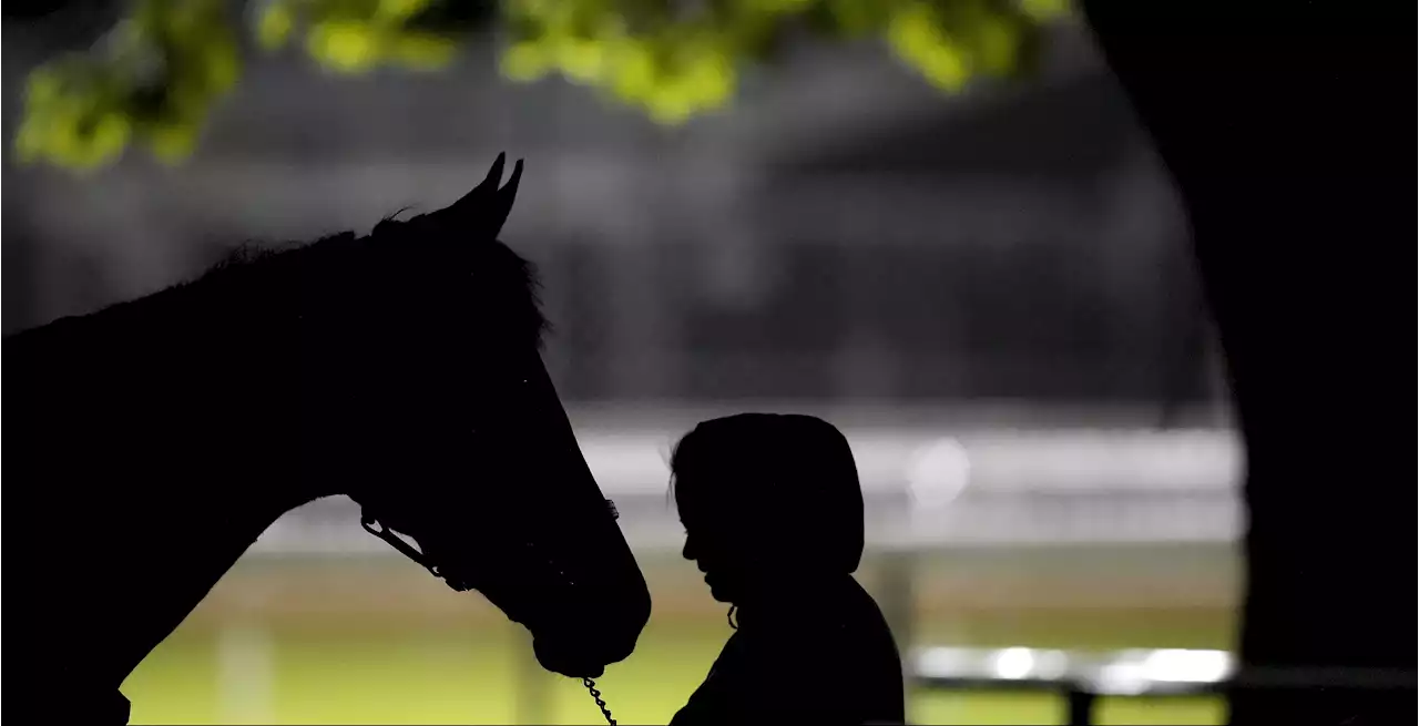 Churchill Downs Investigates 4 Horse Deaths Ahead of 149th Kentucky Derby