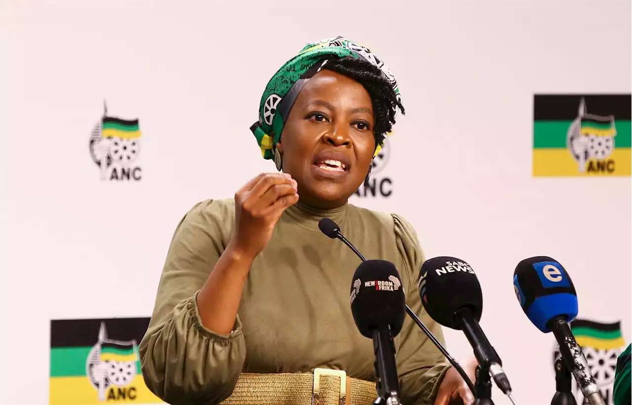 Minister cracks the whip in bid to streamline SA's planning and monitoring | News24