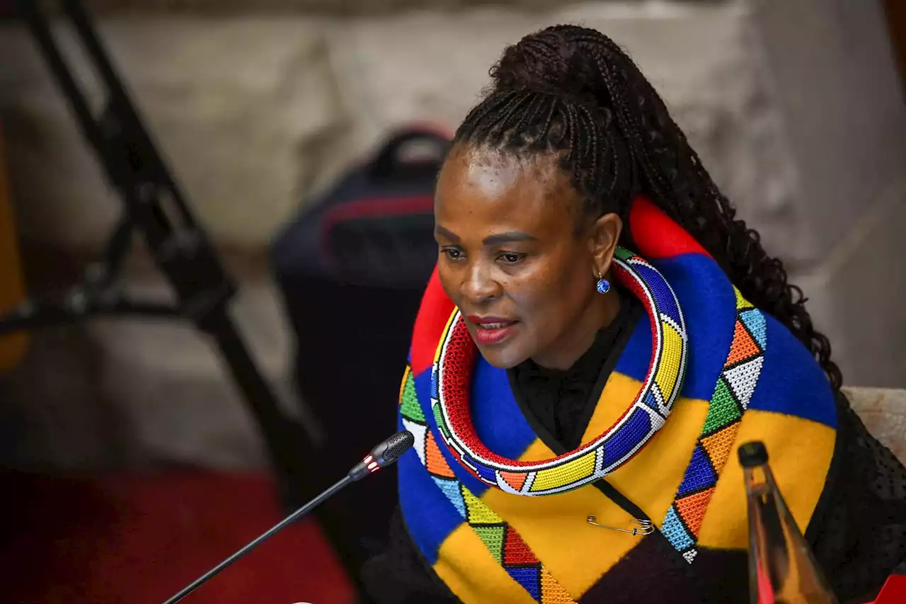 Parliament starts moving towards choosing Mkhwebane's successor | News24